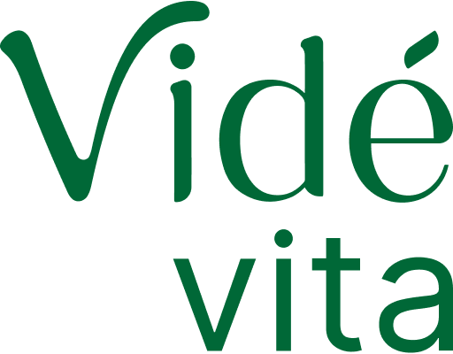 Vidé